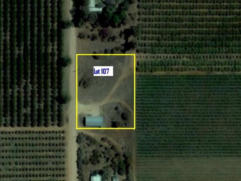 Lot 107 Thompson Road, Waikerie SA 5330