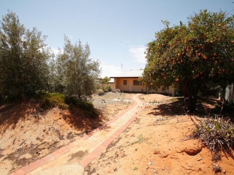 45 Wodonga Avenue, Loxton SA 5333