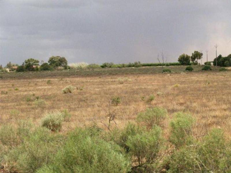 Sec 117 Battams Road, Moorook SA 5332