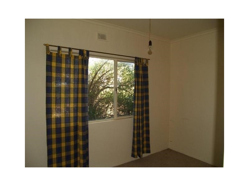 65 Hartwig Road, Waikerie SA 5330