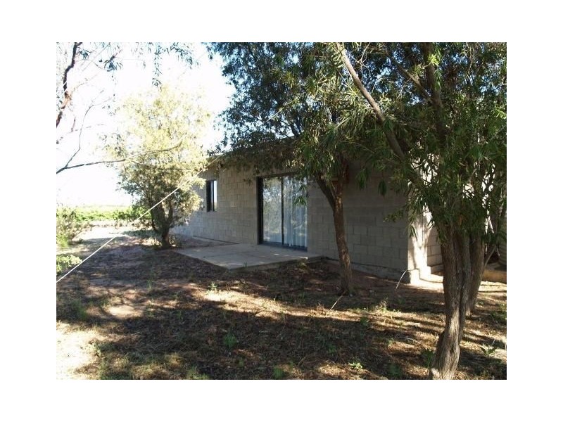 65 Hartwig Road, Waikerie SA 5330