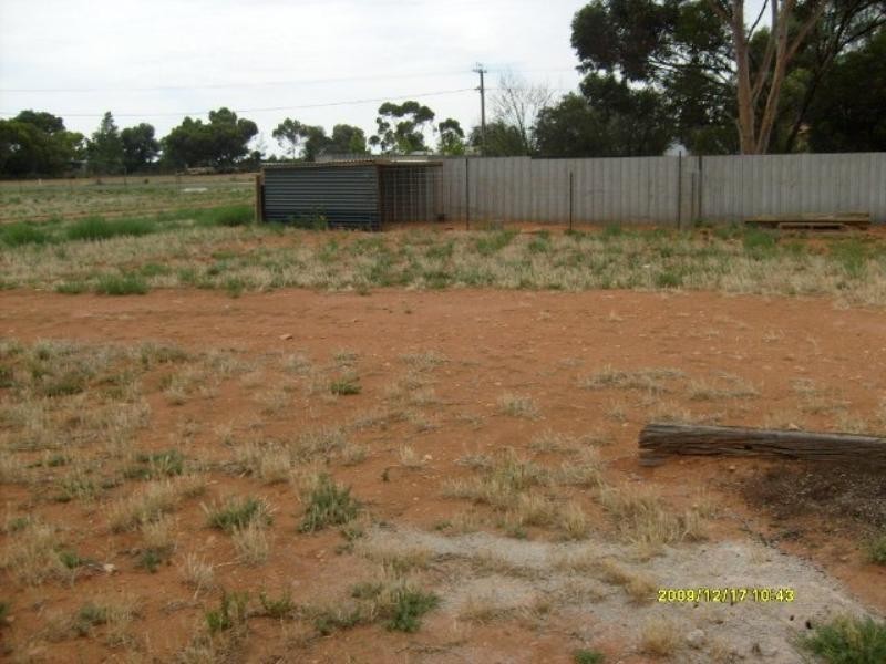 10 Torrens Street, Loxton SA 5333