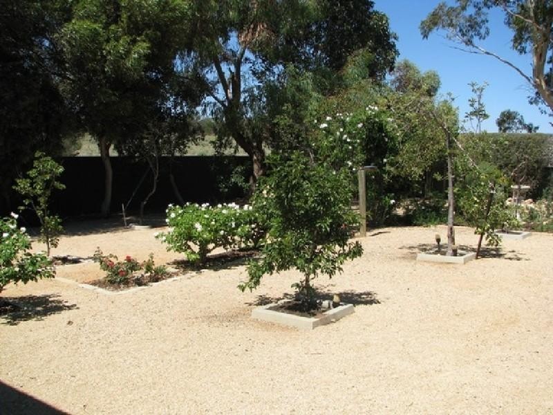 4 Busbridge Court, Loxton SA 5333