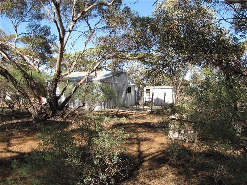 5 Raeder Court, Berri SA 5343