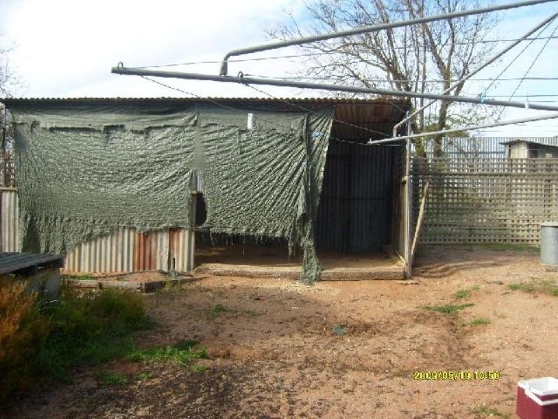 35 Hayward Terrace, Loxton SA 5333