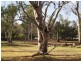 Lot 66 Pelican Point, Morgan SA 5320
