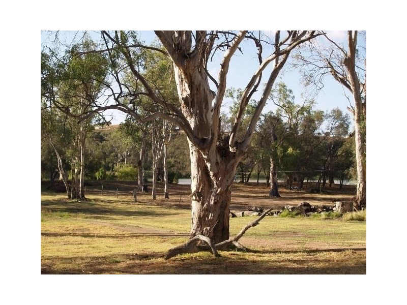 Lot 66 Pelican Point, Morgan SA 5320