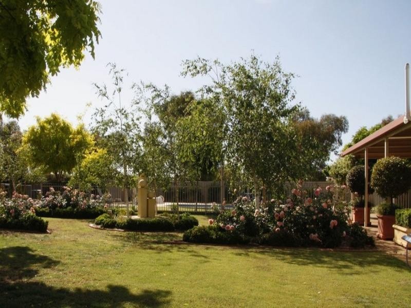 105 Badcoe Road, Loxton SA 5333