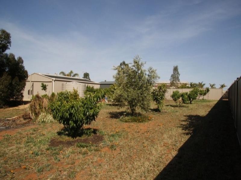 105 Badcoe Road, Loxton SA 5333