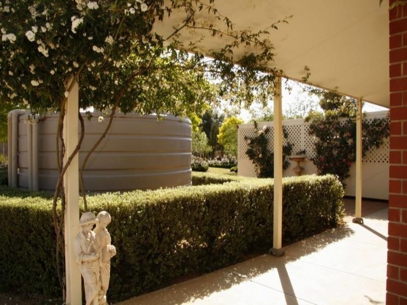105 Badcoe Road, Loxton SA 5333