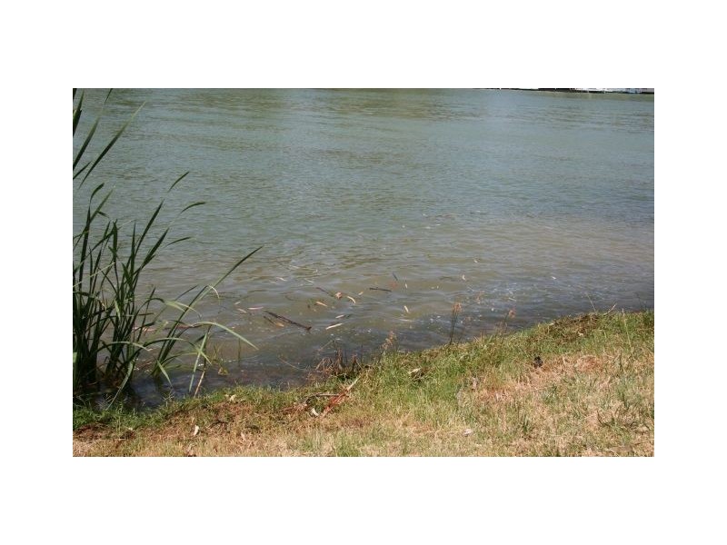 Lot 18 Barker Road, Morgan SA 5320