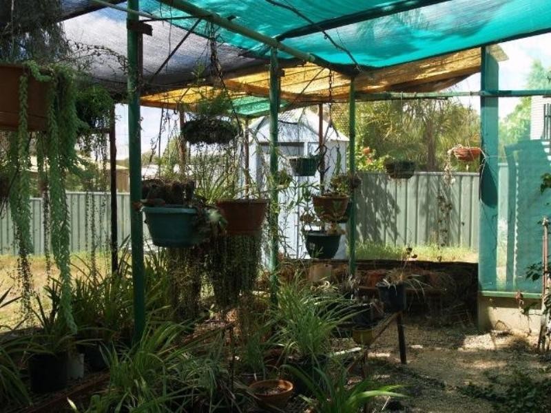 22 Lawrie Terrace, Waikerie SA 5330