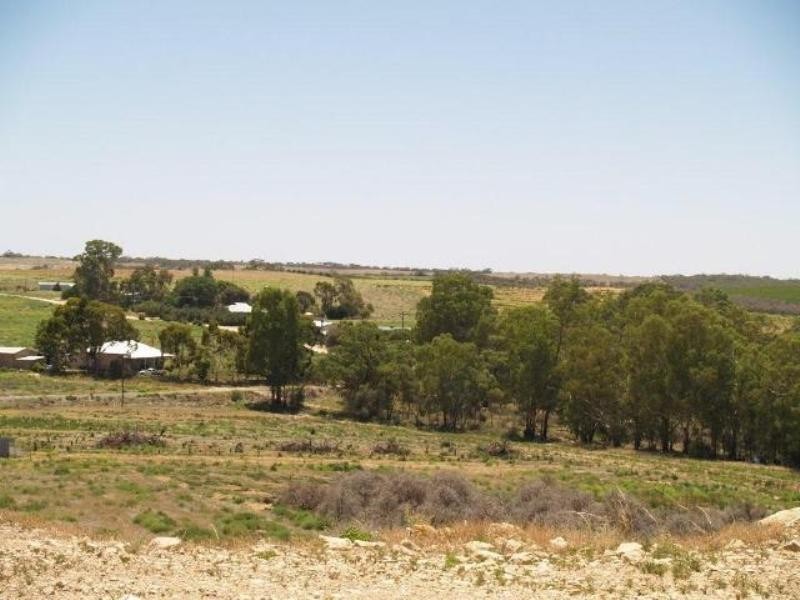 Allotment 21 Taylorville Road, Waikerie SA 5330