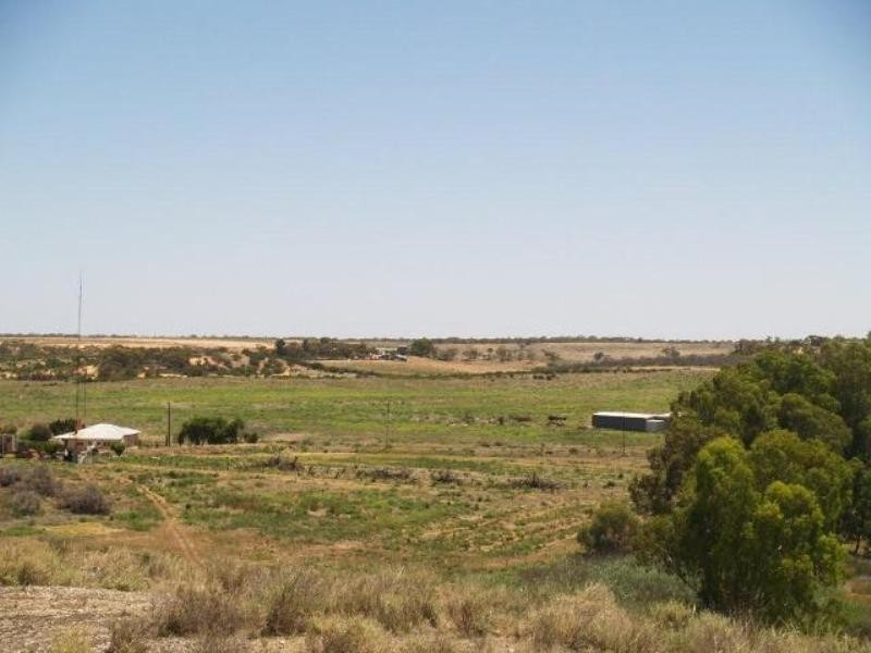Allotment 21 Taylorville Road, Waikerie SA 5330