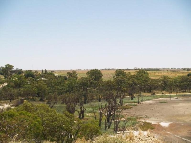 Allotment 21 Taylorville Road, Waikerie SA 5330