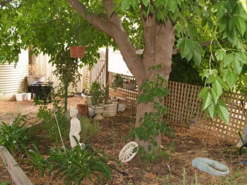 Lot 3 Dunlop Road, Waikerie SA 5330