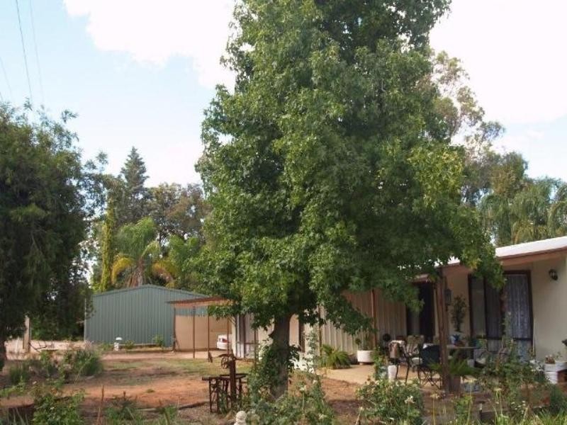 Lot 3 Dunlop Road, Waikerie SA 5330