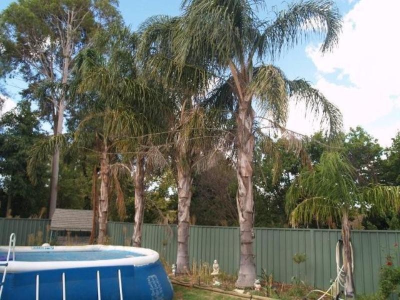 Lot 3 Dunlop Road, Waikerie SA 5330