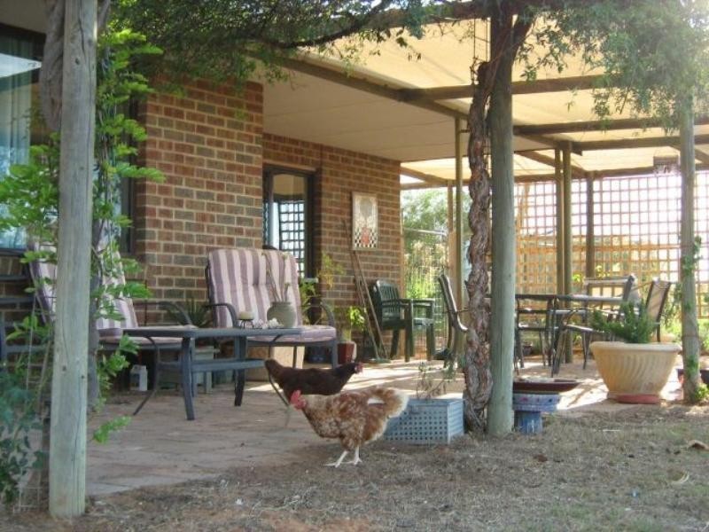 39 Cox Road, Waikerie SA 5330