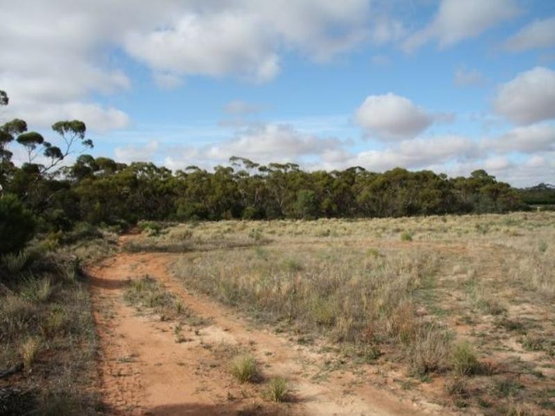 39 Cox Road, Waikerie SA 5330