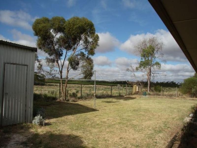 39 Cox Road, Waikerie SA 5330