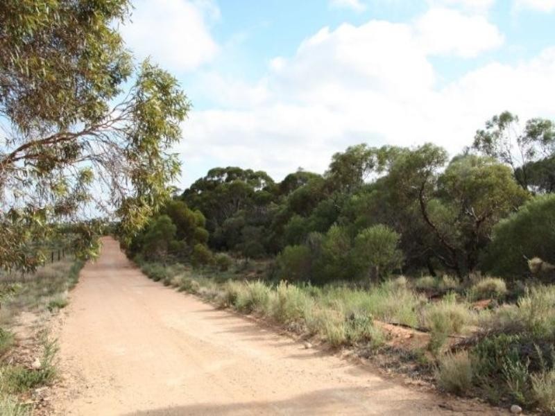 39 Cox Road, Waikerie SA 5330