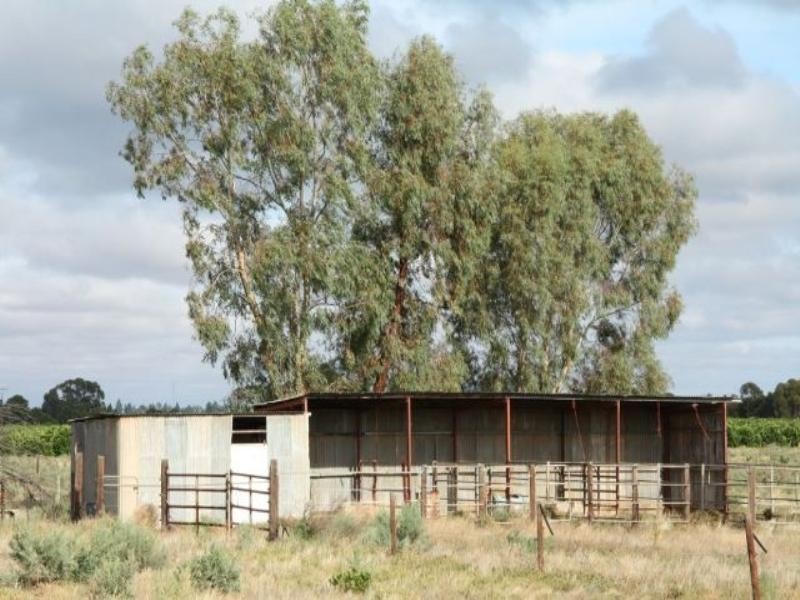 39 Cox Road, Waikerie SA 5330