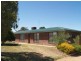 92 Benlow Road, Waikerie SA 5330