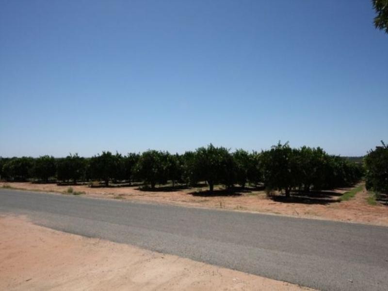 10 Isaacson Street, Waikerie SA 5330