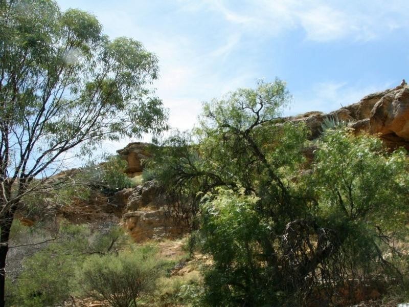 91 Government Road, Morgan SA 5320