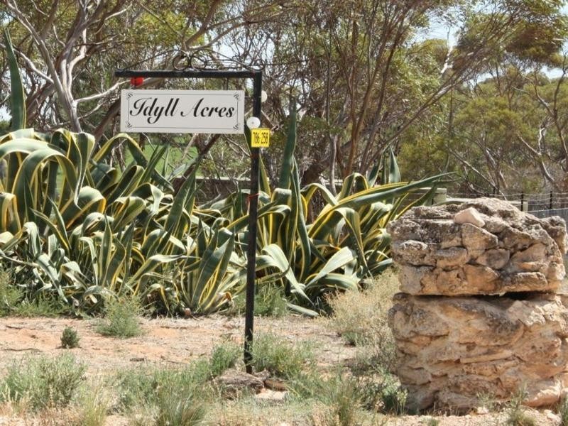 91 Government Road, Morgan SA 5320