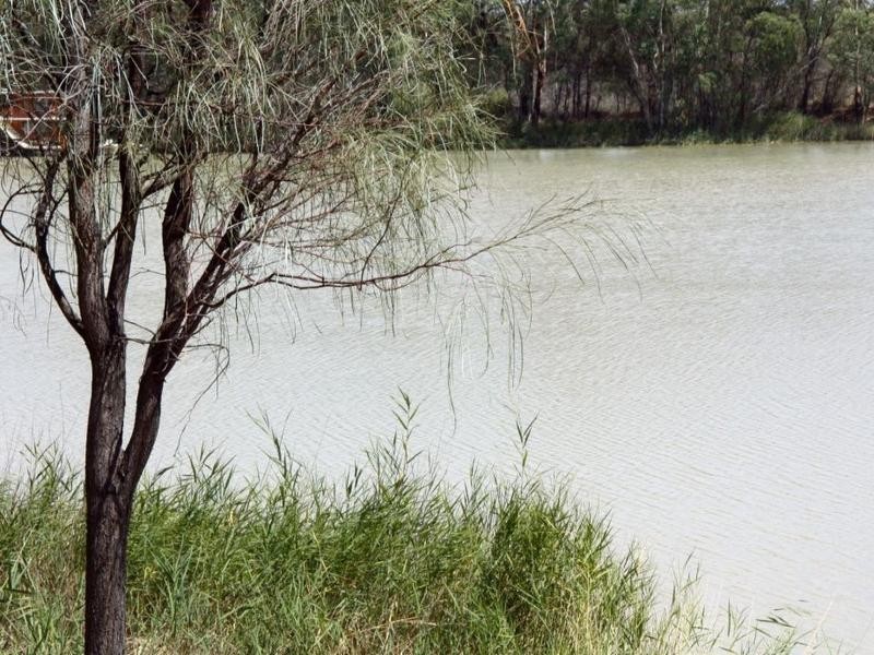 91 Government Road, Morgan SA 5320