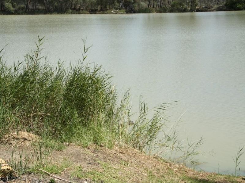 91 Government Road, Morgan SA 5320