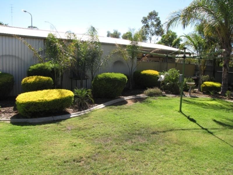51 Tonkin Avenue, Barmera SA 5345