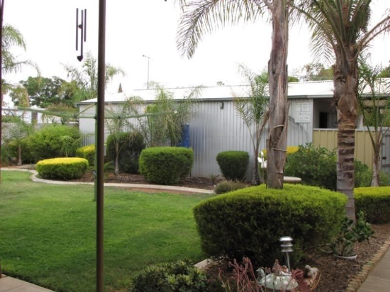 51 Tonkin Avenue, Barmera SA 5345
