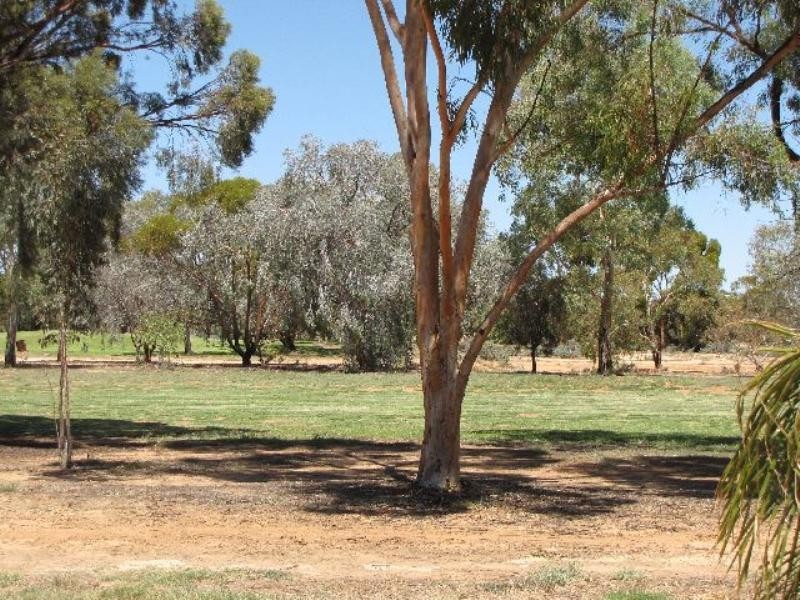 4 Bruce Road, Barmera SA 5345