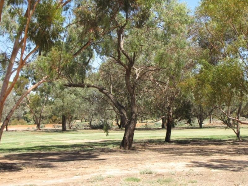 4 Bruce Road, Barmera SA 5345