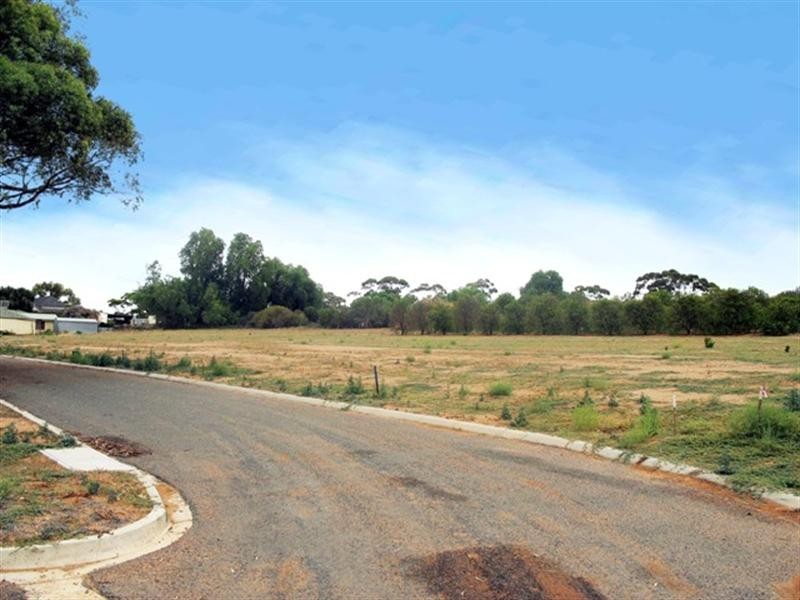 Lots on Kingston Loxton Road, Moorook SA 5332