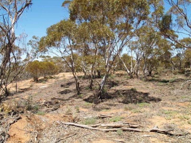 Sec 110 Hd of Skurray, Blanchetown SA 5357