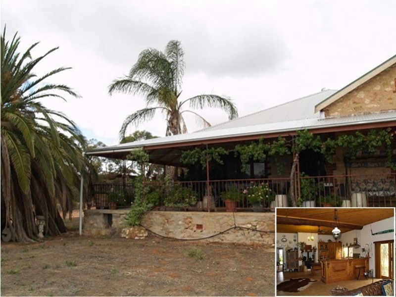 Lot 56 Mackintosh Road, Cadell SA 5321