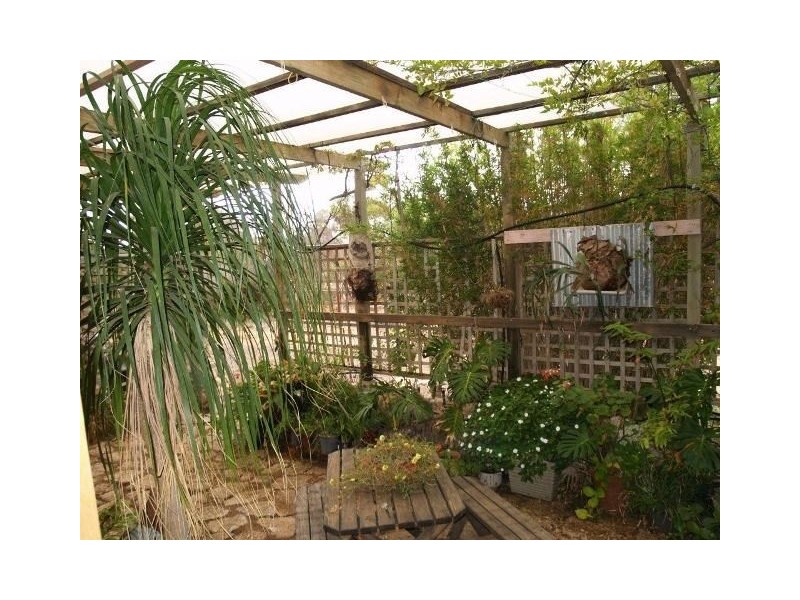 Lot 56 Mackintosh Road, Cadell SA 5321