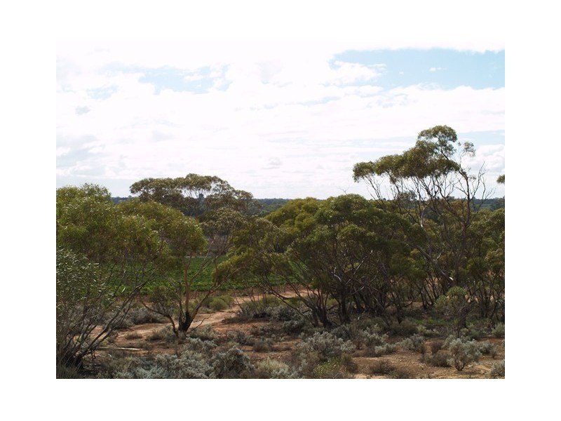 Lot 56 Mackintosh Road, Cadell SA 5321