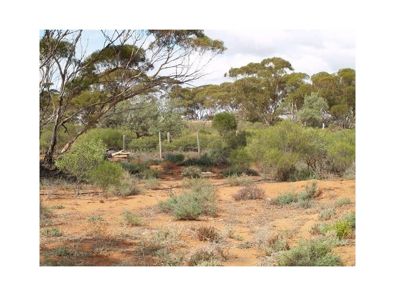 Lot 56 Mackintosh Road, Cadell SA 5321