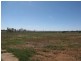 Lot 12 English Road, Barmera SA 5345