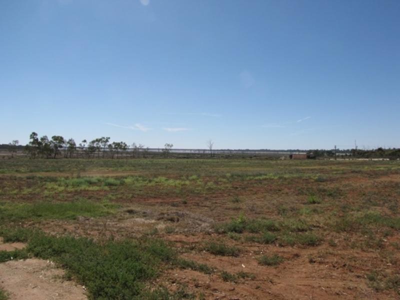 Lot 12 English Road, Barmera SA 5345