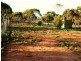 Lot 2,247 Sturt Highway, Berri SA 5343
