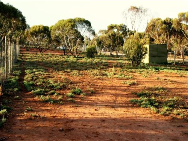 Lot 2,247 Sturt Highway, Berri SA 5343