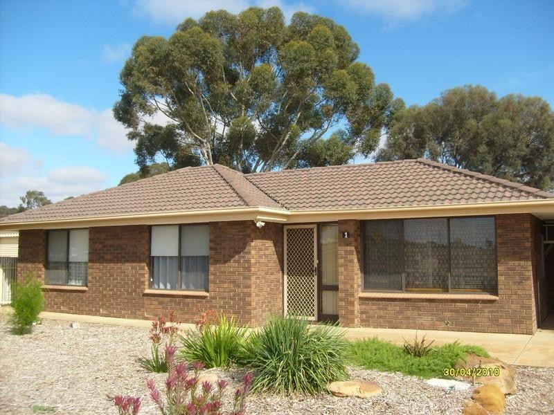 1 Robertson Avenue, Loxton SA 5333