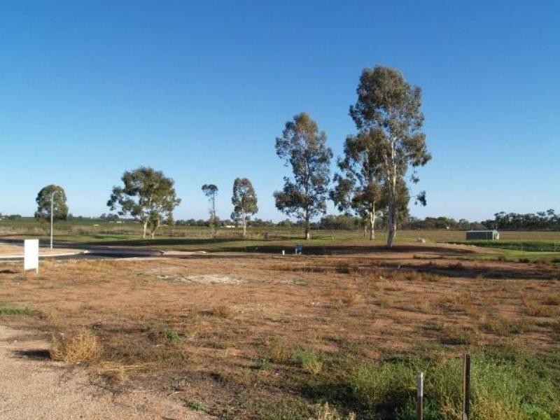 22 Marks Terrace, Waikerie SA 5330