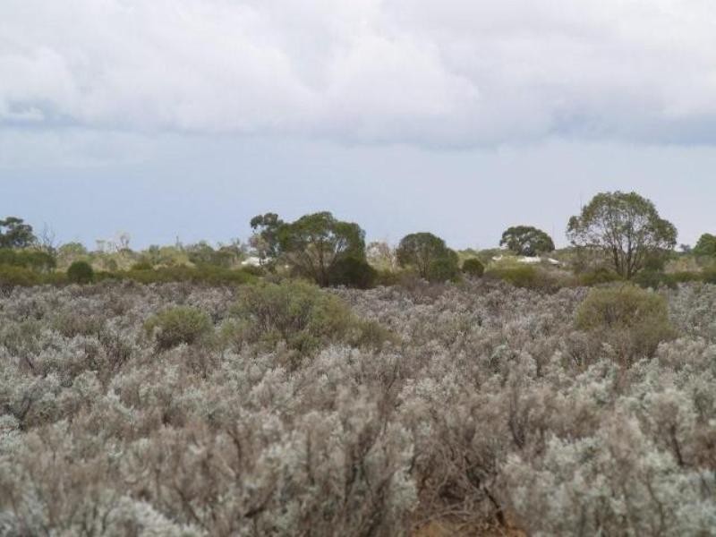 31 Slaughterhouse Road, Morgan SA 5320